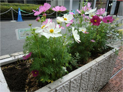 20120927b.jpg